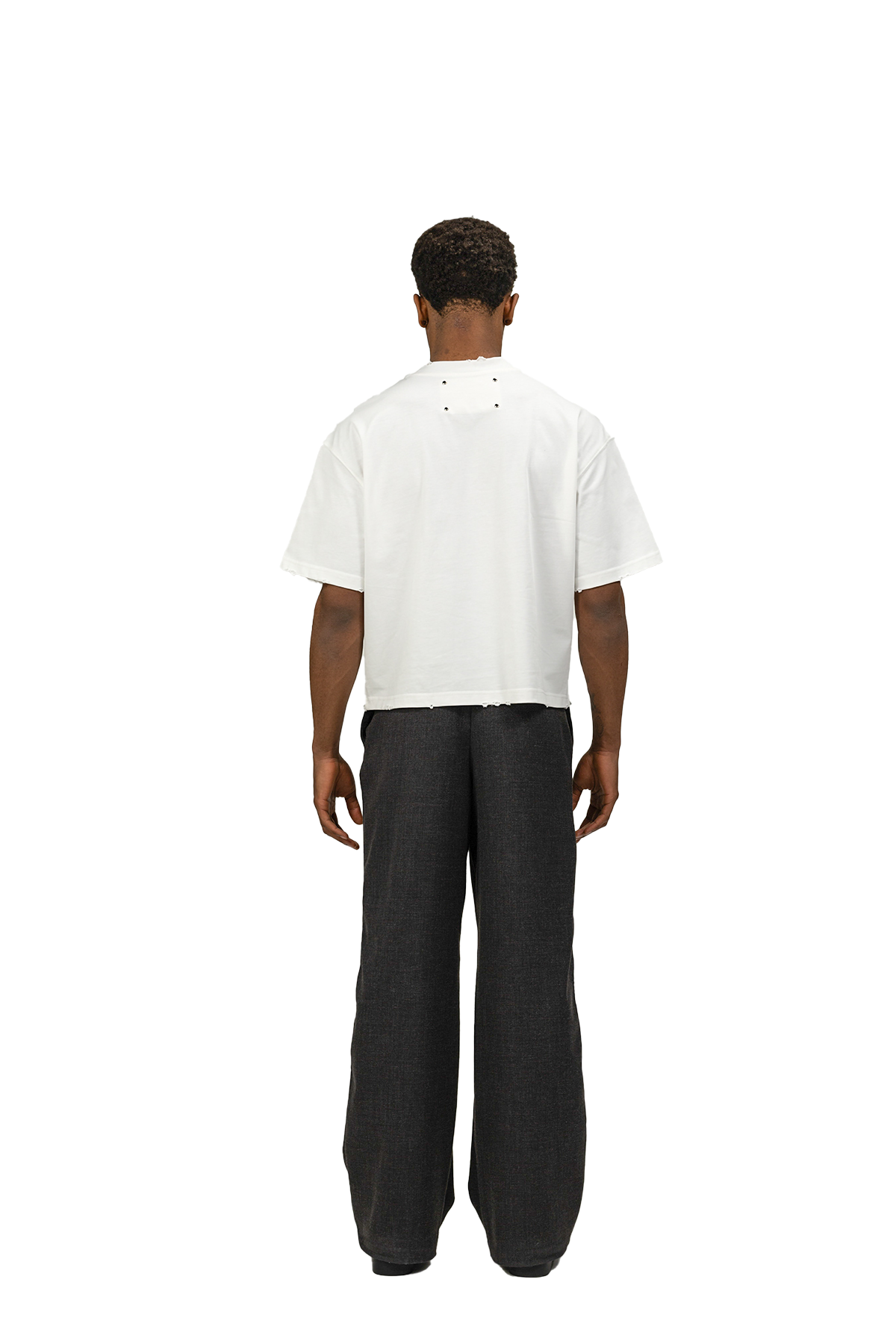 Tiat loving seal t-shirt